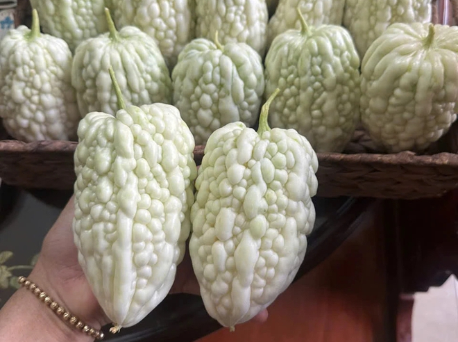 Người phụ nữ ở TP.HCM 2 tháng xách đất lên sân thượng làm vườn - Ảnh 5.