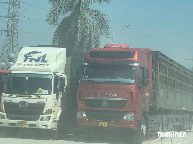'B&atilde;o bụi' dưới ch&acirc;n cầu Thăng Long - Ảnh 2.