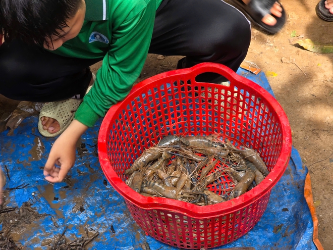 Thuận thi&ecirc;n để mưu sinh giữa m&ugrave;a nước nổi - Ảnh 5.