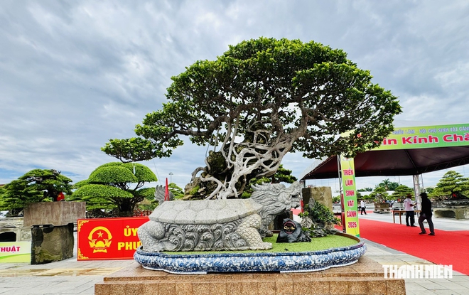 'Thạch Nham cổ mộc' được định gi&aacute; khoảng 2 triệu USD? - Ảnh 3.