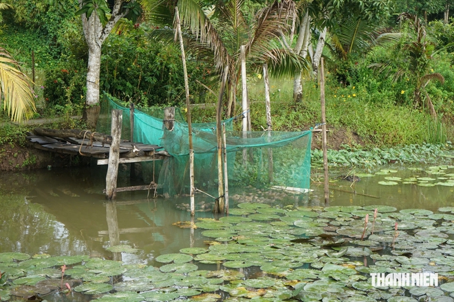 Thuận thi&ecirc;n để mưu sinh giữa m&ugrave;a nước nổi - Ảnh 10.