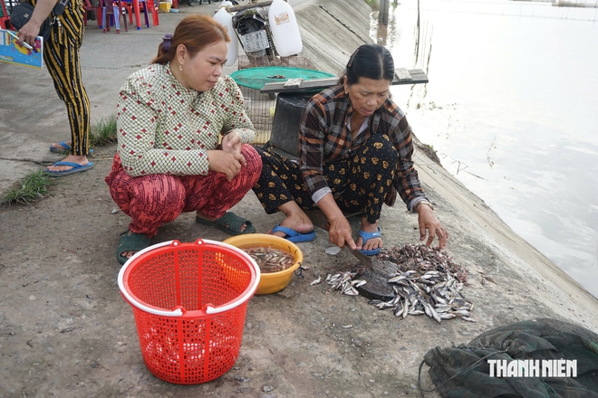 Những căn nhà theo mùa nước nổi: Xóm 'ngóng nước' ở rốn lũ sông Tiền - Ảnh 3.