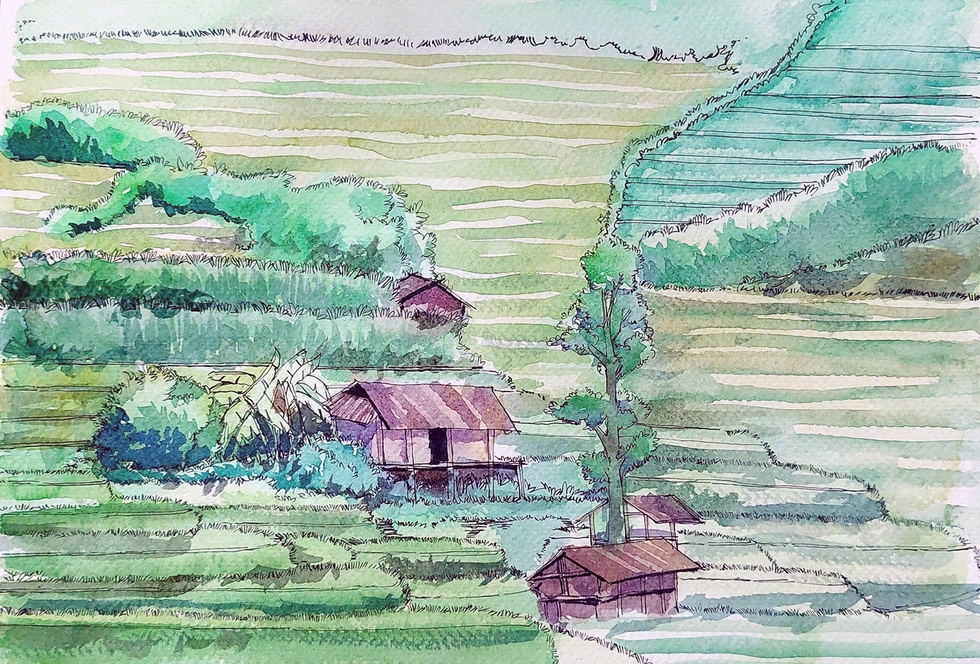 Bí mật vẻ đẹp mê hồn ruộng bậc thang Mù Cang Chải- Ảnh 14.
