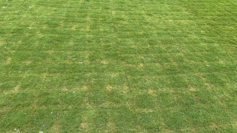 Sân Mỹ Đình không còn lo bị ‘tàn phá’ sau concert ca nhạc, cỏ sẽ không bị chết- Ảnh 2.