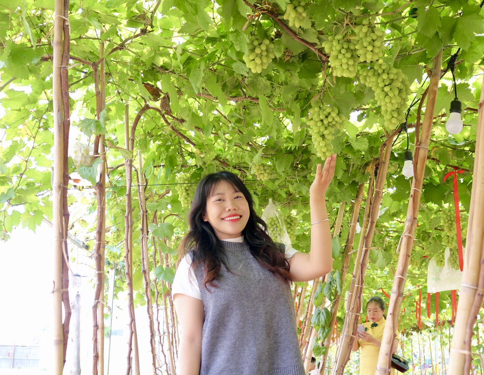 Đến nơi n&agrave;y ngồi uống c&agrave; ph&ecirc; dưới vườn nho sai quả ngay giữa th&agrave;nh phố- Ảnh 7.