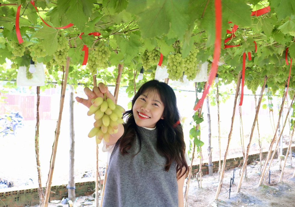 Đến nơi n&agrave;y ngồi uống c&agrave; ph&ecirc; dưới vườn nho sai quả ngay giữa th&agrave;nh phố- Ảnh 11.