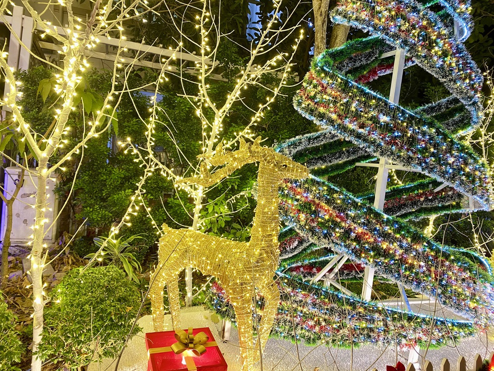 Chụp ảnh Gi&aacute;ng sinh ở &lsquo;phố nh&agrave; gi&agrave;u&rsquo;- Ảnh 3.