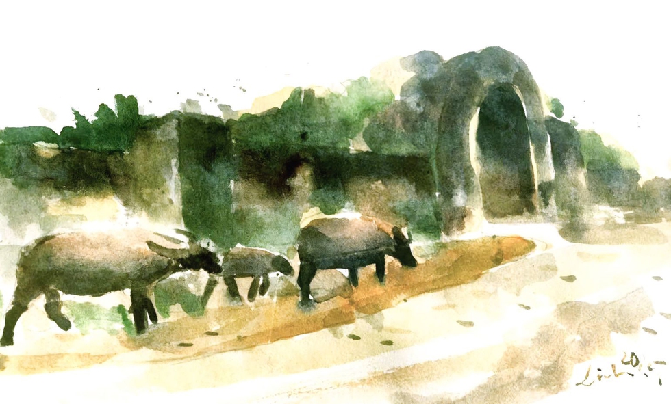 Tại sao đôi rồng đá ở Thành nhà Hồ bị cụt đầu?- Ảnh 5.