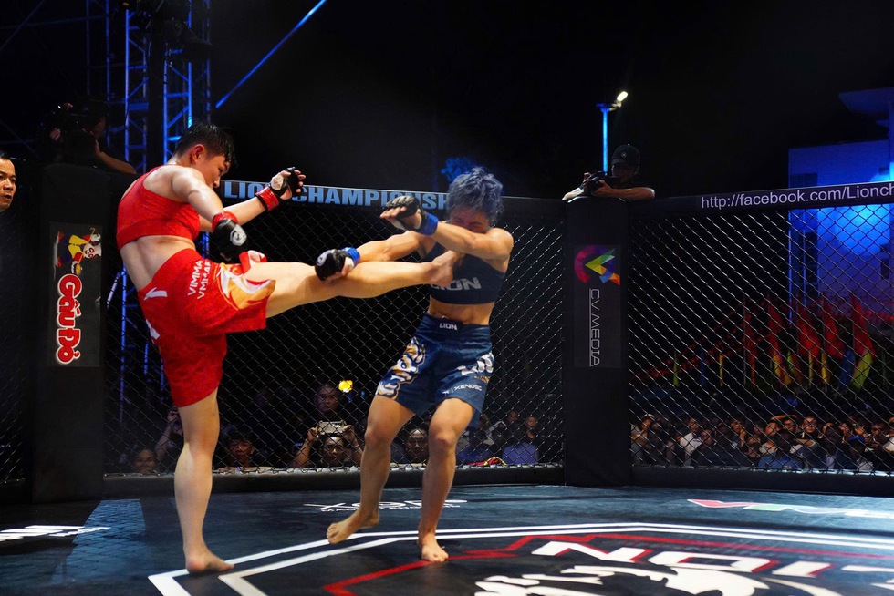 Tại sao MMA lại hấp dẫn?- Ảnh 1. Tại sao MMA lại hấp dẫn?- Ảnh 1.