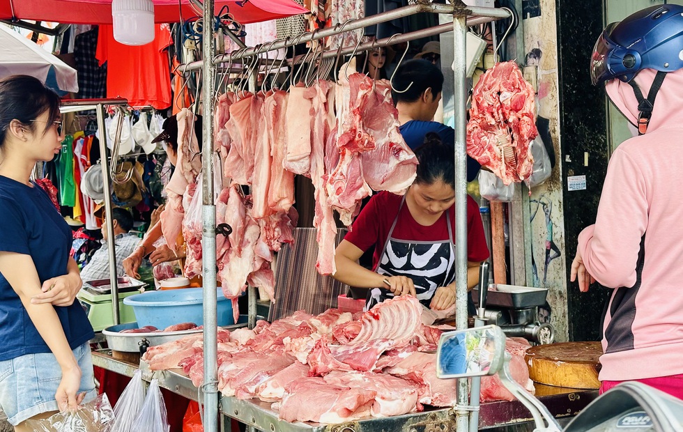 Giá heo hơi hôm nay 5.8.2025: Thị trường chờ tín hiệu mới- Ảnh 1.