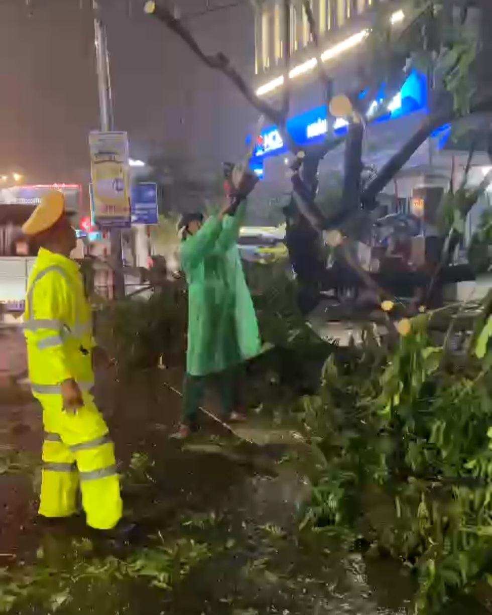Đà Nẵng: Cây xanh bật gốc giữa phố, đè trúng xe máy trong mưa lớn- Ảnh 3. Đà Nẵng: Cây xanh bật gốc giữa phố, đè trúng xe máy trong mưa lớn- Ảnh 3.