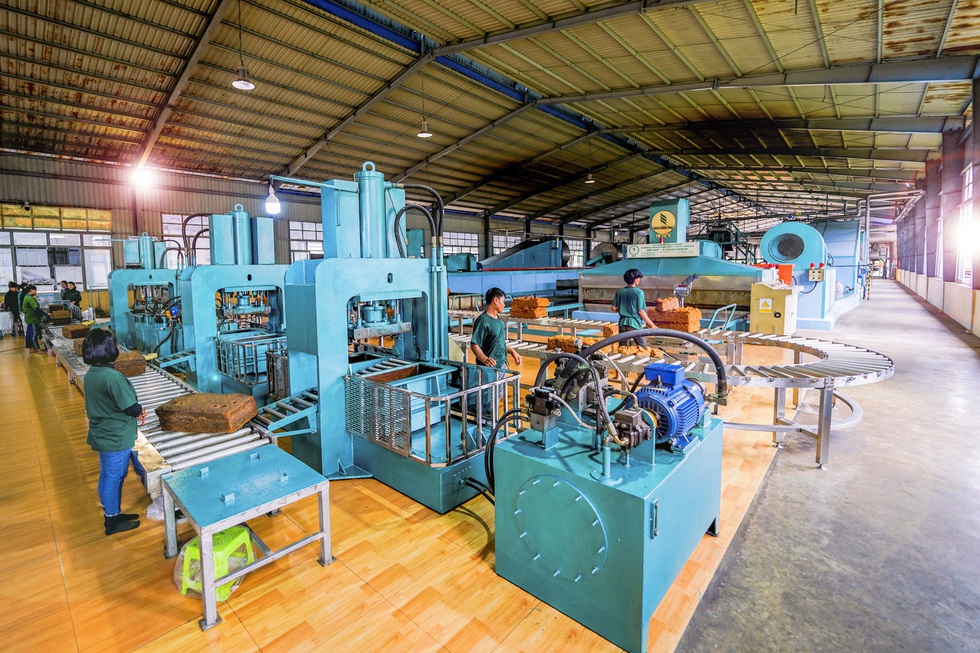 Cao su Chư Sê - Kampong Thom: Đơn vị đầu tiên trên thế giới đạt chứng nhận PEFC EUDR- Ảnh 4.
