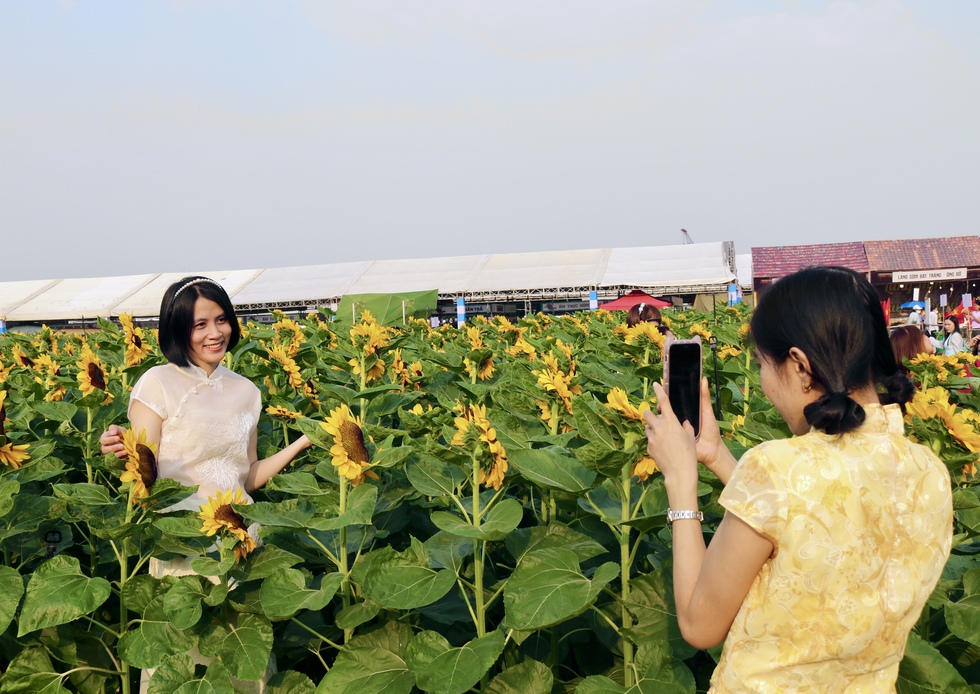 C&aacute;nh đồng hoa tết mới toanh vừa mở cửa &lsquo;g&acirc;y sốt&rsquo;- Ảnh 2.