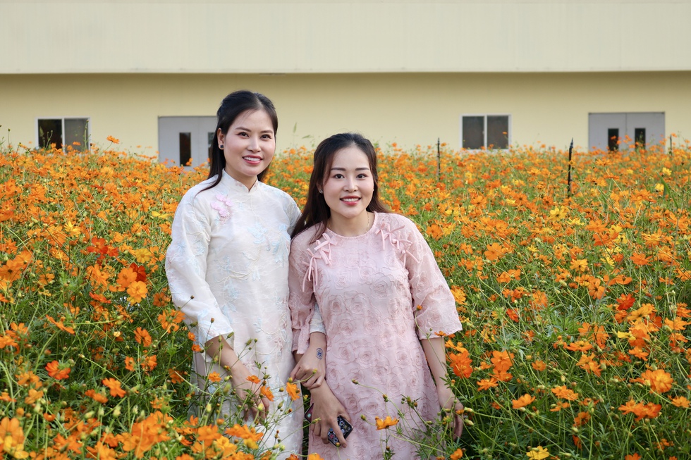 C&aacute;nh đồng hoa tết mới toanh vừa mở cửa &lsquo;g&acirc;y sốt&rsquo;- Ảnh 6.