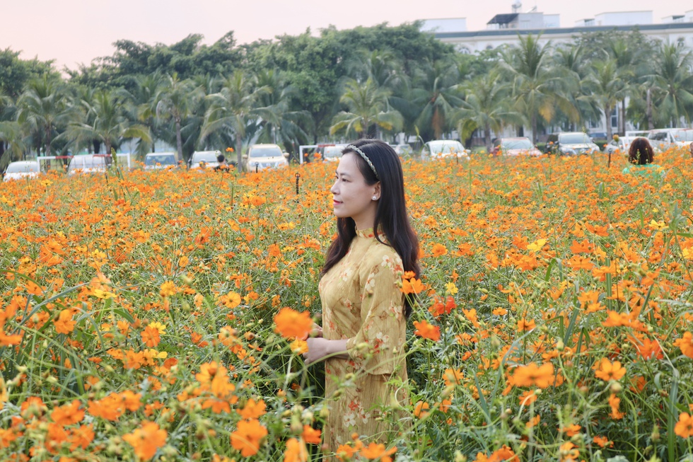 C&aacute;nh đồng hoa tết mới toanh vừa mở cửa &lsquo;g&acirc;y sốt&rsquo;- Ảnh 3.