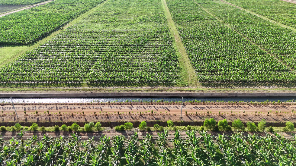 Kinh ngạc với hệ sinh th&aacute;i n&ocirc;ng nghiệp của tỉ ph&uacute; Trần B&aacute; Dương- Ảnh 2.