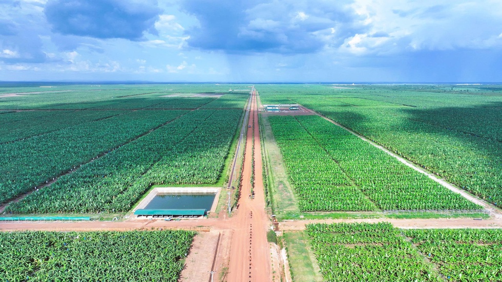 Kinh ngạc với hệ sinh th&aacute;i n&ocirc;ng nghiệp của tỉ ph&uacute; Trần B&aacute; Dương- Ảnh 3.