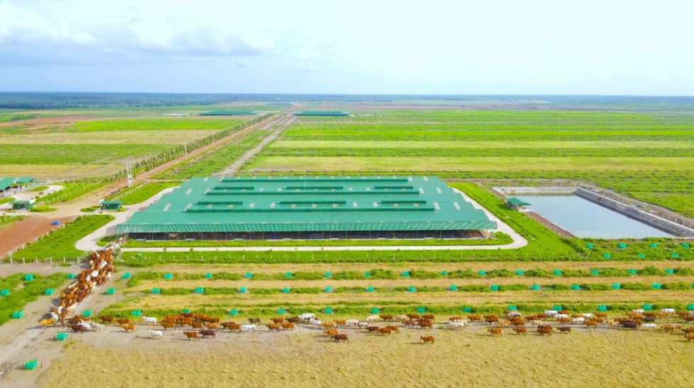 Kinh ngạc với hệ sinh th&aacute;i n&ocirc;ng nghiệp của tỉ ph&uacute; Trần B&aacute; Dương- Ảnh 4.