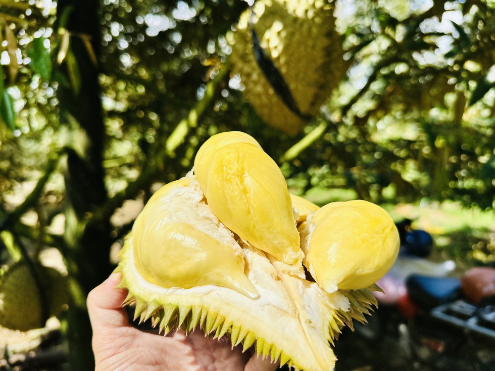 Sầu ri&ecirc;ng được gi&aacute;, rau quả tăng tốc ngay th&aacute;ng đầu năm - Ảnh 1.