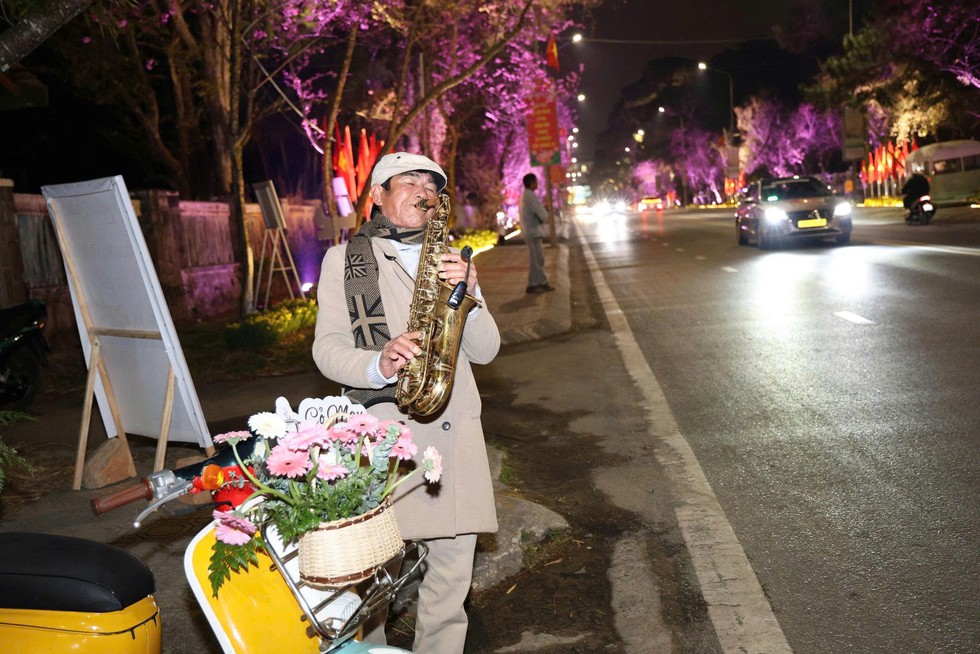 Mai anh đ&agrave;o nở rộ, 'nhuộm hồng' Đ&agrave; Lạt trước Tết B&iacute;nh Ngọ- Ảnh 19.