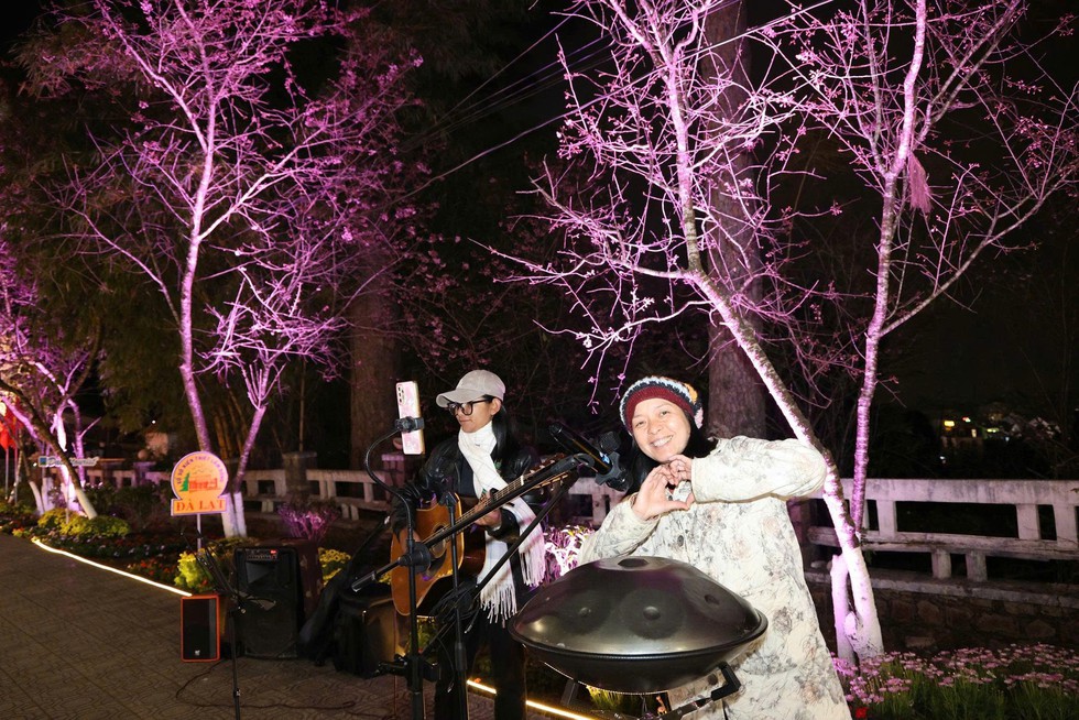 Mai anh đ&agrave;o nở rộ, 'nhuộm hồng' Đ&agrave; Lạt trước Tết B&iacute;nh Ngọ- Ảnh 20.