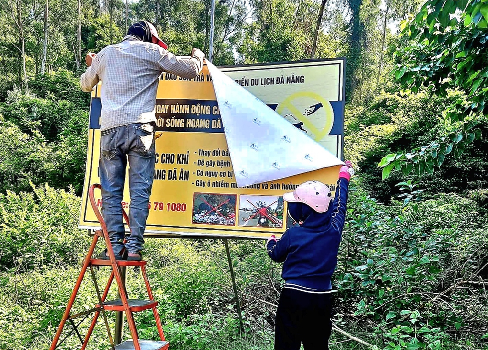 Cho khỉ hoang Sơn Tr&agrave; ăn v&igrave; 'thương động vật', du kh&aacute;ch c&oacute; thể bị tấn c&ocirc;ng- Ảnh 1.