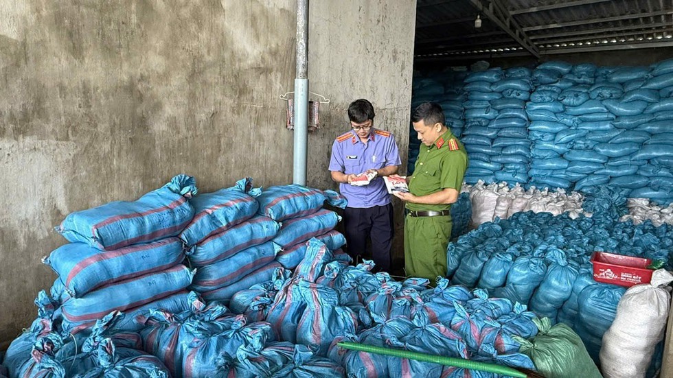 Sản xuất hơn 1.700 tấn muối i ốt giả: Khởi tố nữ gi&aacute;m đốc- Ảnh 1.