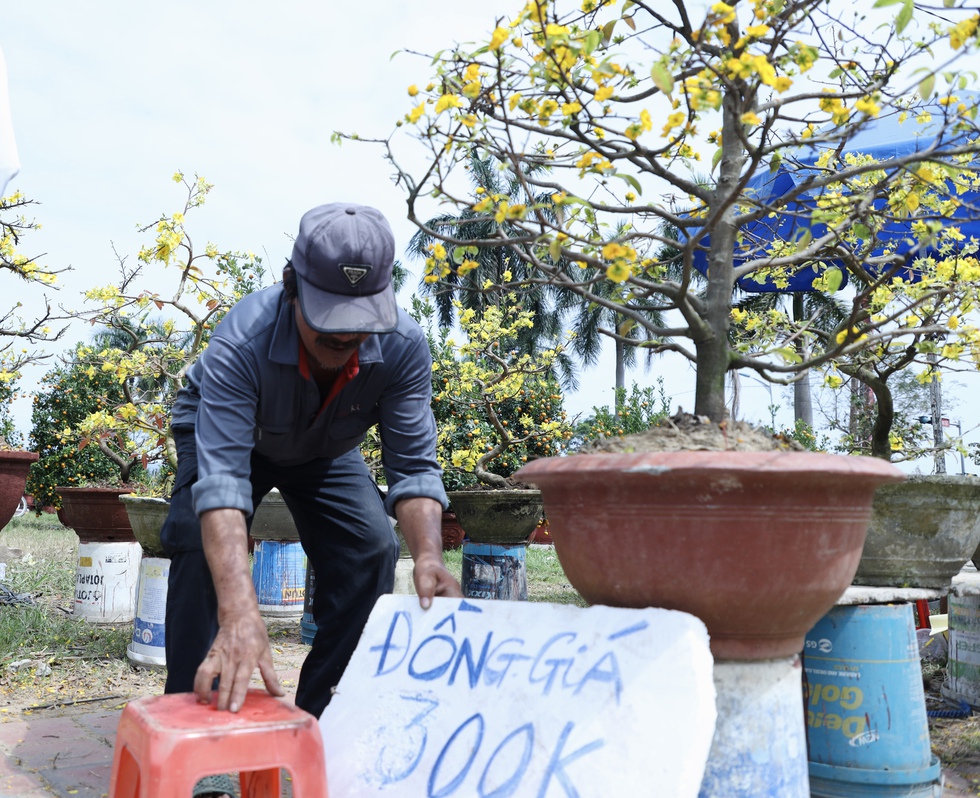 Chiều 29 Tết: Chợ hoa Đ&agrave; Nẵng trầm lắng, tiểu thương 'xả h&agrave;ng' vẫn ế ẩm- Ảnh 4.