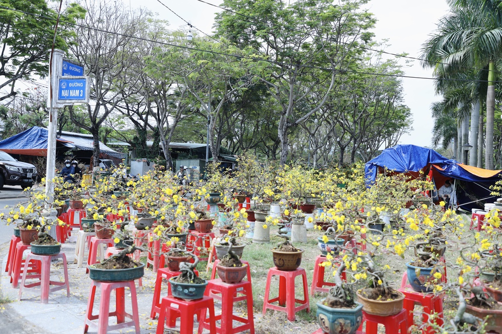 Chiều 29 Tết: Chợ hoa Đ&agrave; Nẵng trầm lắng, tiểu thương 'xả h&agrave;ng' vẫn ế ẩm- Ảnh 1.