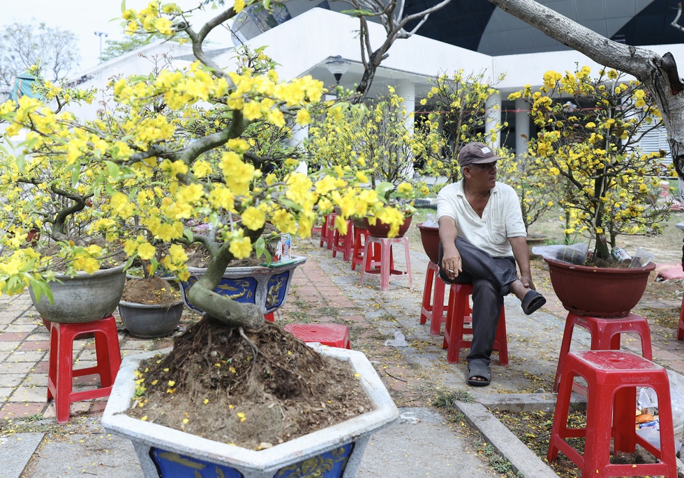 Chiều 29 Tết: Chợ hoa Đ&agrave; Nẵng trầm lắng, tiểu thương 'xả h&agrave;ng' vẫn ế ẩm- Ảnh 9.