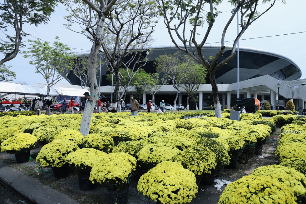 Chiều 29 Tết: Chợ hoa Đ&agrave; Nẵng trầm lắng, tiểu thương 'xả h&agrave;ng' vẫn ế ẩm- Ảnh 10.