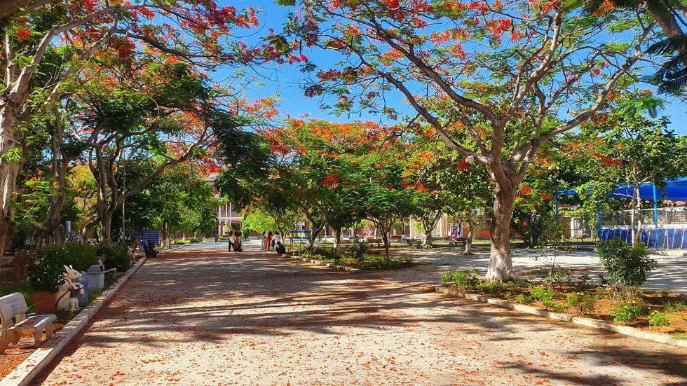 Đ&agrave; Nẵng: Gi&aacute;o vi&ecirc;n trường THPT bất ngờ với hợp đồng 9 th&aacute;ng sau s&aacute;p nhập- Ảnh 3.