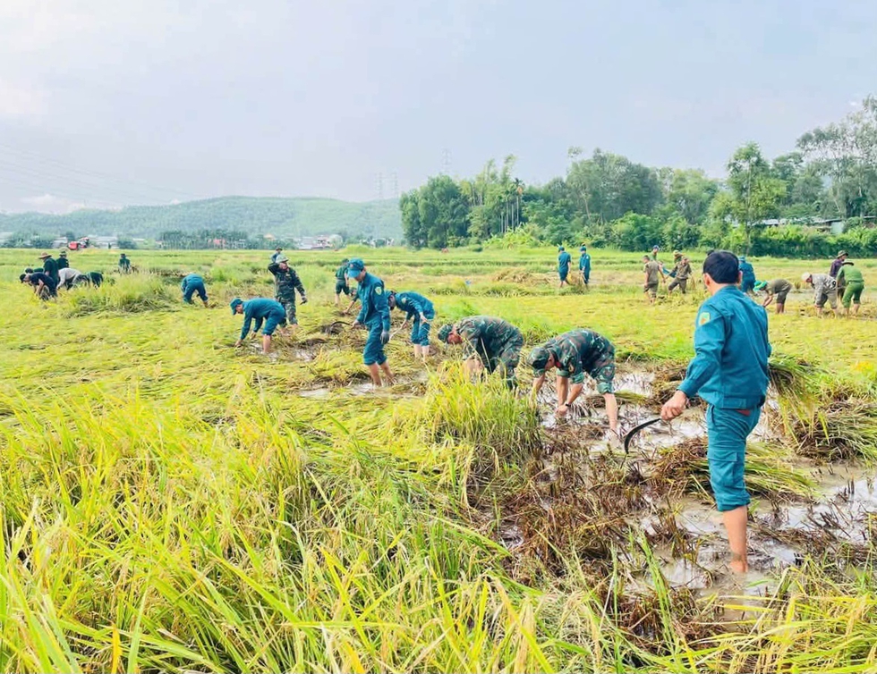 L&uacute;a ng&atilde; bệt sau mưa lớn, cả x&atilde; xuống đồng lội b&ugrave;n gặt l&uacute;a gi&uacute;p d&acirc;n- Ảnh 7.