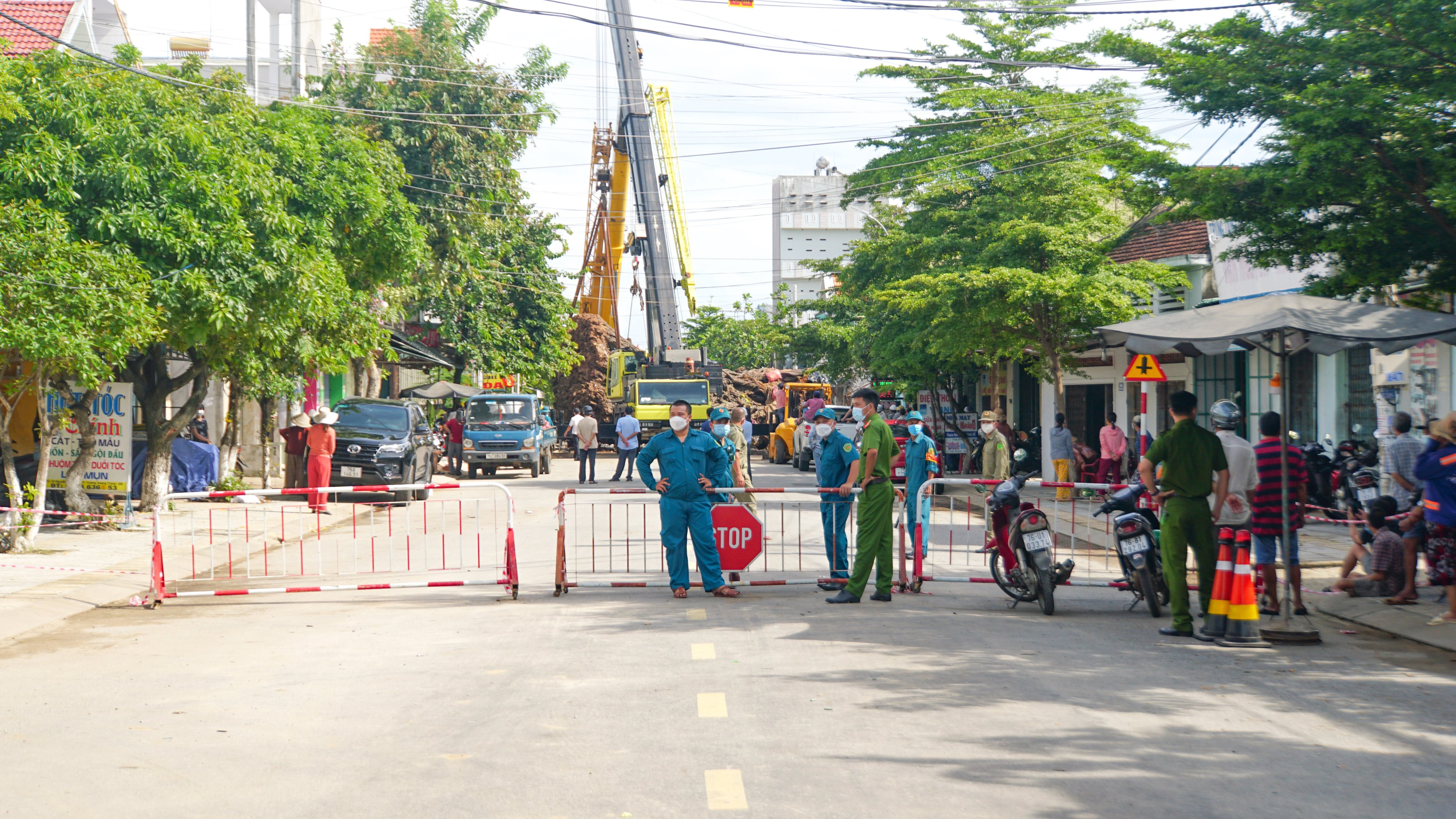 Cây đa hơn 200 năm tuổi đã được di dời và trồng trên núi Thiên Bút, Quảng Ngãi. Đây là một nỗ lực của chính quyền và cộng đồng để bảo vệ và phục hồi sinh thái địa phương, đồng thời gợi nhắc mọi người về tầm quan trọng của việc bảo vệ cây cối.