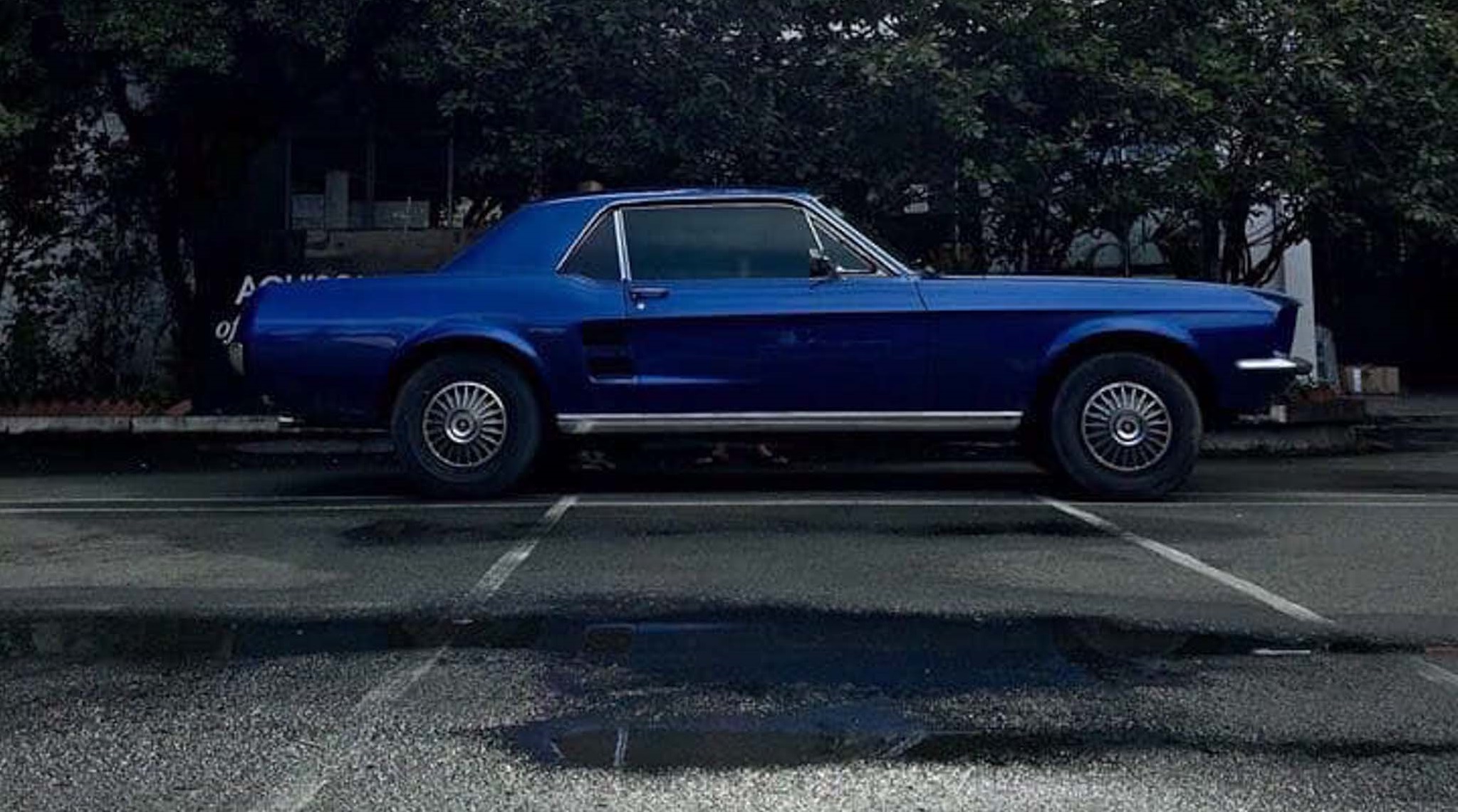 Mô hình xe Ford Mustang 1967 full open blue 124 Maisto OT070  MixASale