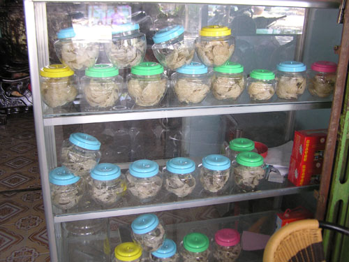 Tổ yến thô được bày bán ở làng yến Tam Thôn Hiệp, Cần Giờ, TP.HCM - Ảnh: Mai Vọng