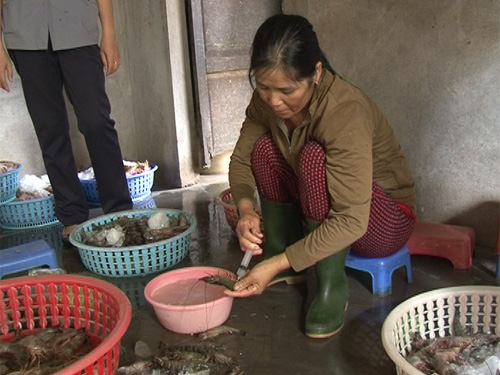 Nhân viên cơ sở kinh doanh thủy sản ở thị trấn Thuận An, huyện Phú Vang, Thừa Thiên – Huế bơm tạp chất vào tôm sú đã chết để tăng trọng tôm