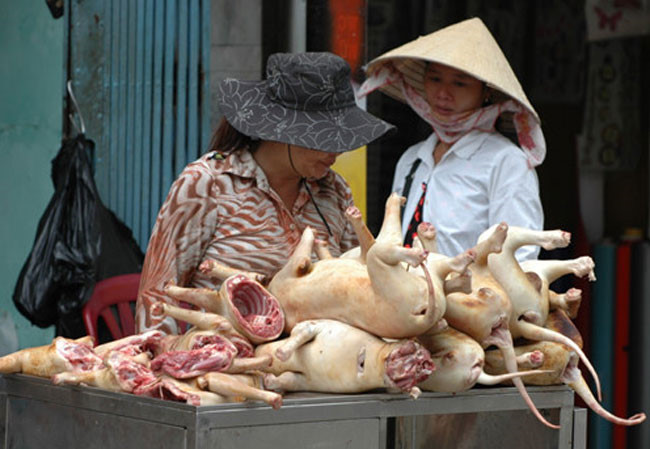 Có ai từng thử thức ăn một miếng thịt chó thơm ngon chưa? Hãy xem hình ảnh này và khám phá thế giới ẩm thực đầy bí ẩn của thịt chó.