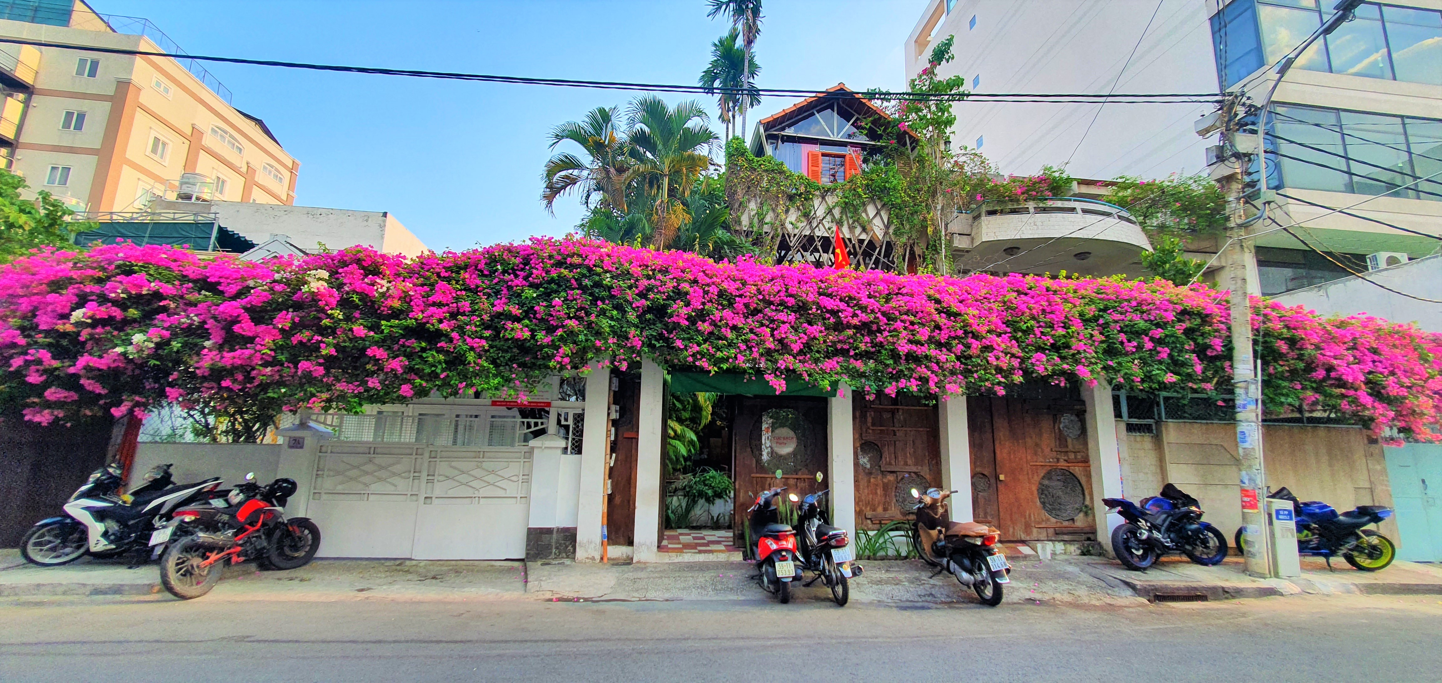 Hãy chiêm ngưỡng những bông hoa giấy đẹp như những tác phẩm nghệ thuật. Với vẻ đẹp độc đáo và tinh tế, chúng sẽ khiến bạn phải trầm trồ khen ngợi.