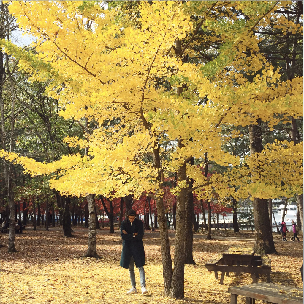 Cảm giác về những ngày mùa thu ở Hàn Quốc vẫn luôn ở lại trong tâm trí Quang Đại