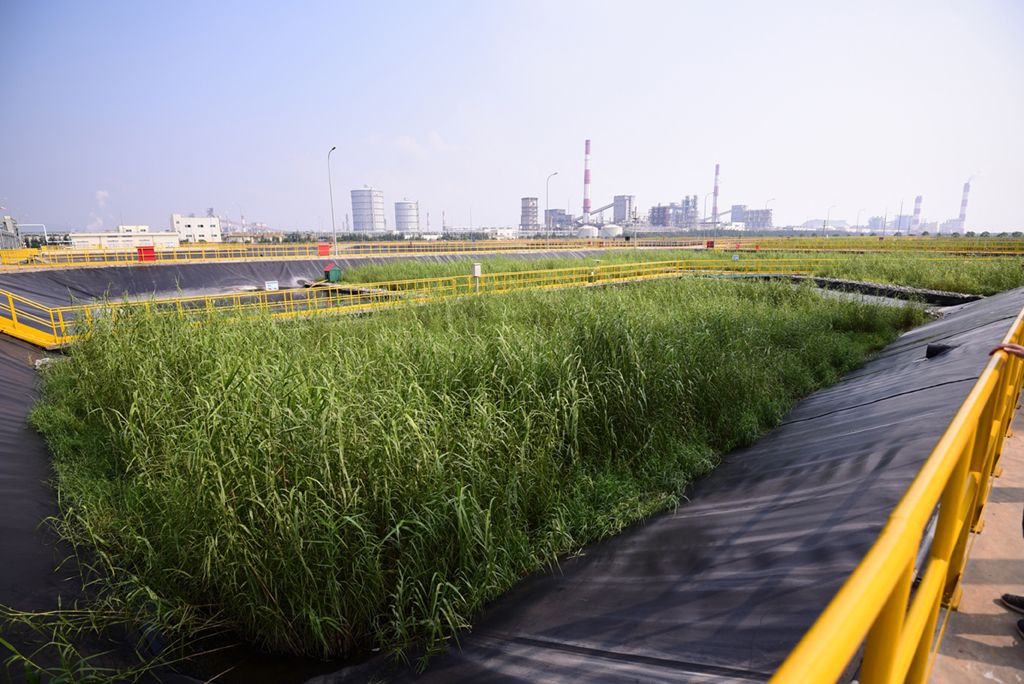 Formosa Hà Tĩnh tích cực nâng cấp các hạng mục bảo vệ môi trường