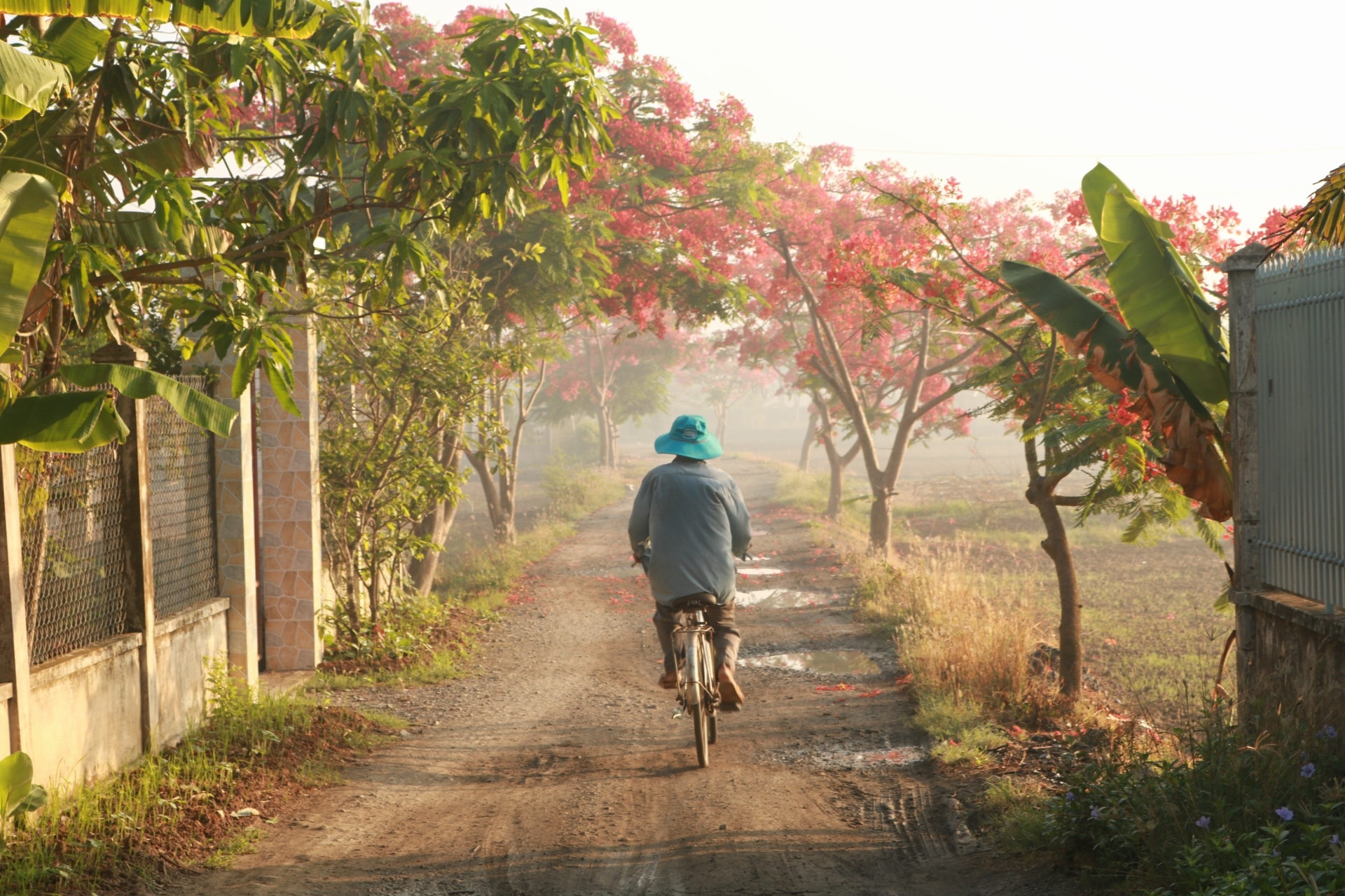 Thưởng thức bức ảnh phong cảnh đẹp của một làng quê Việt Nam có thể giúp bạn giải tỏa stress và tìm lại sự cân bằng trong cuộc sống. Những cánh đồng, thung lũng xanh thẳm và những người dân sống đơn giản sẽ đem lại cho bạn một bầu không khí trong lành và bình yên nhưng đầy năng lượng.