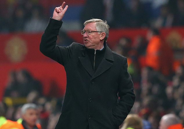 Sir Alex Ferguson chưa từng muốn giải nghệ năm 2013 Sir Alex Ferguson Chưa Từng Muốn Giải Nghệ Năm 2013