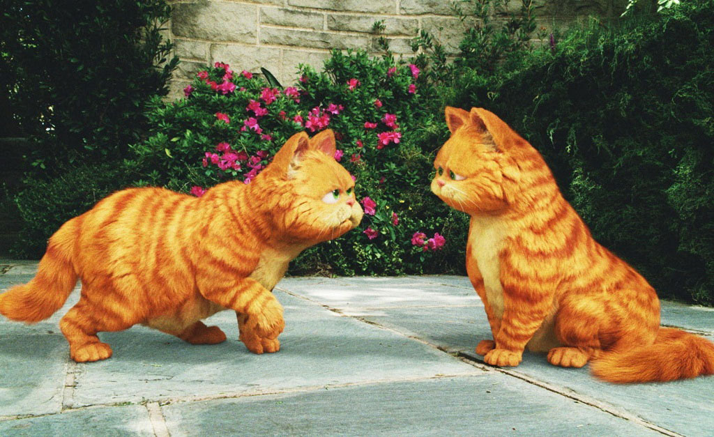 Garfield đã trở thành một biểu tượng về người mèo béo, nhưng với tính cách rực rỡ và thân thiết, chú mèo béo Garfield sẽ khiến bạn cười và cảm thấy đầy yêu thương. Hãy xem ảnh của chú ấy và cảm nhận sự đáng yêu của Garfield.