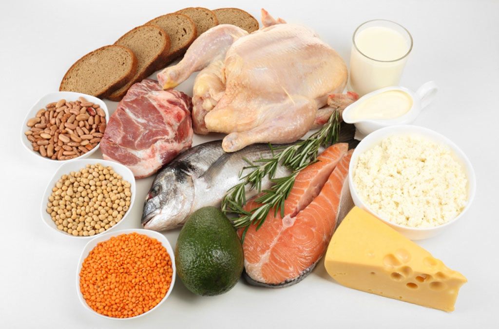 Protein - nền tảng dinh dưỡng giúp tăng cơ bắp hiệu quả