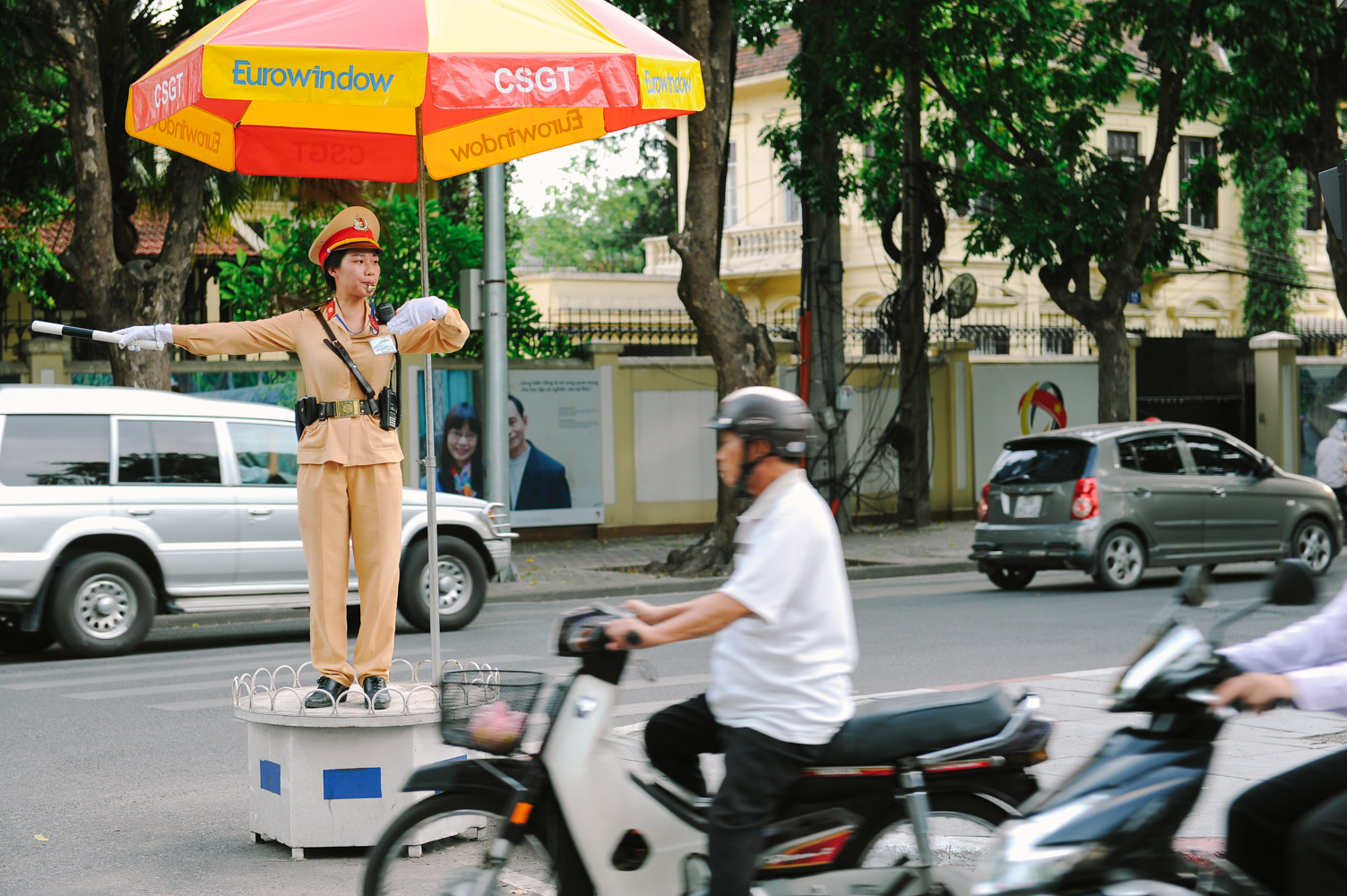 nhung-bong-hong-giao-thong