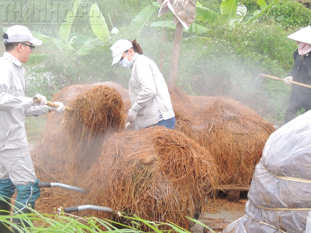 rom-ra-Tran-Thi-Khanh-Trang-co-gai-Viet-lot-top-100-nha-tu-tuong-hang-dau-the-gioi