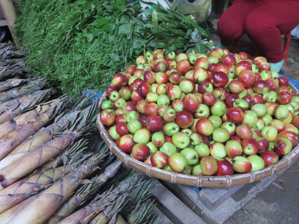 Lên biên giới ăn đào đầu mùa 4