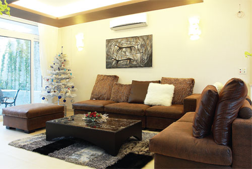 Biệt thự hoa 2