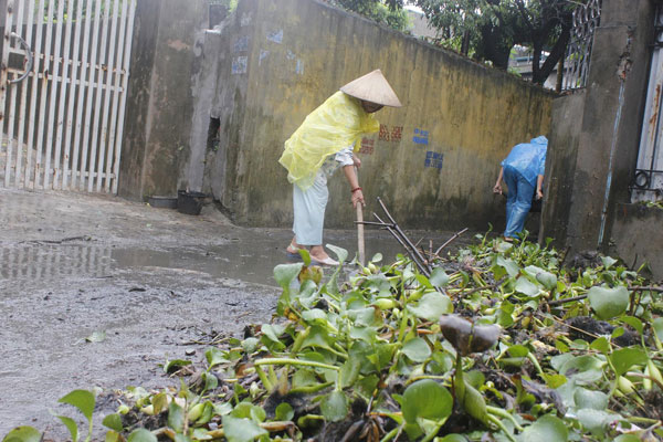 Tuổi trẻ Quảng Ninh giúp người dân khắc phục hậu quả lũ lụt 5